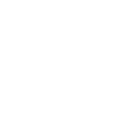 Github icon button.
