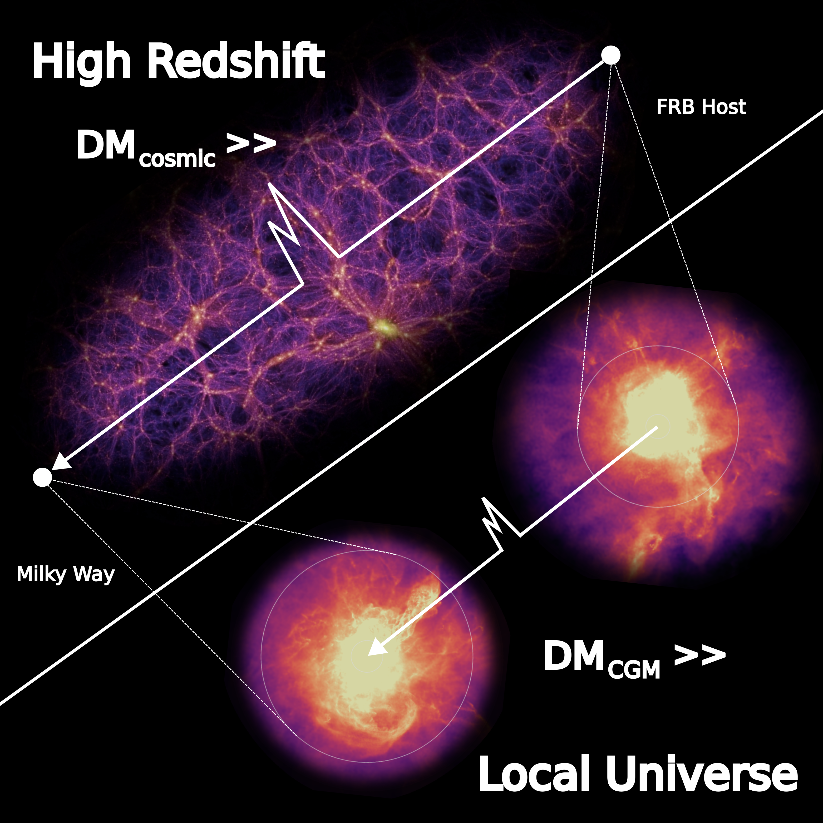 Schematic of using local universe FRBs to probe the circumgalactic medium of nearby galaxies.